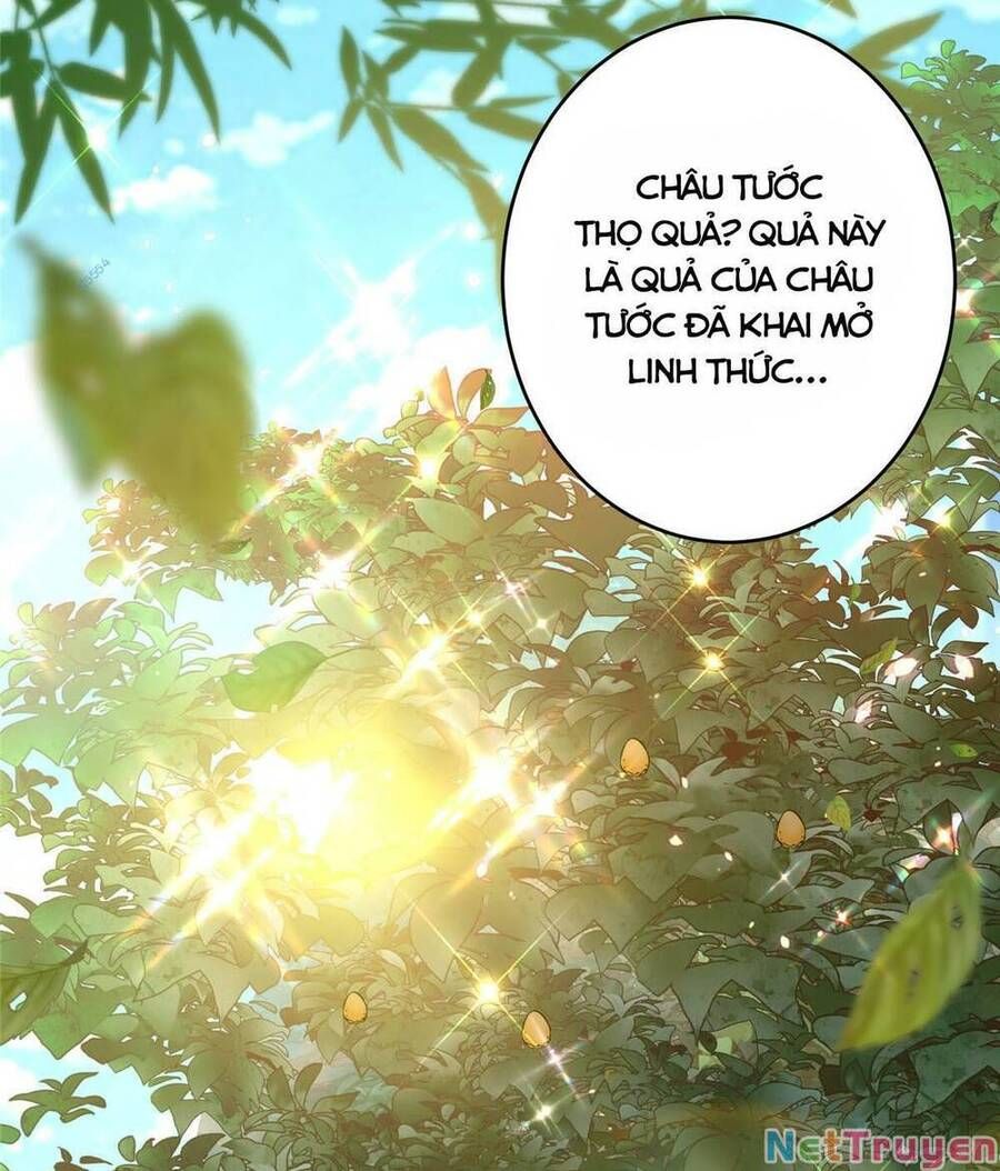 đọc truyện Chưởng Môn Khiêm Tốn Chút Chương 183 ảnh 38 tại Truyện Dạ Ký