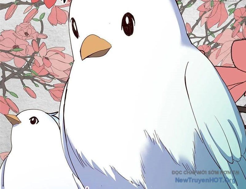 đọc truyện Chưởng Môn Khiêm Tốn Chút Chương 535 ảnh 151 tại Thiên Thai Truyện