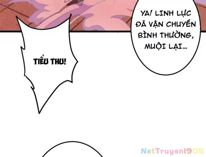 đọc truyện Chưởng Môn Khiêm Tốn Chút Chương 541 ảnh 15 tại Thiên Thai Truyện