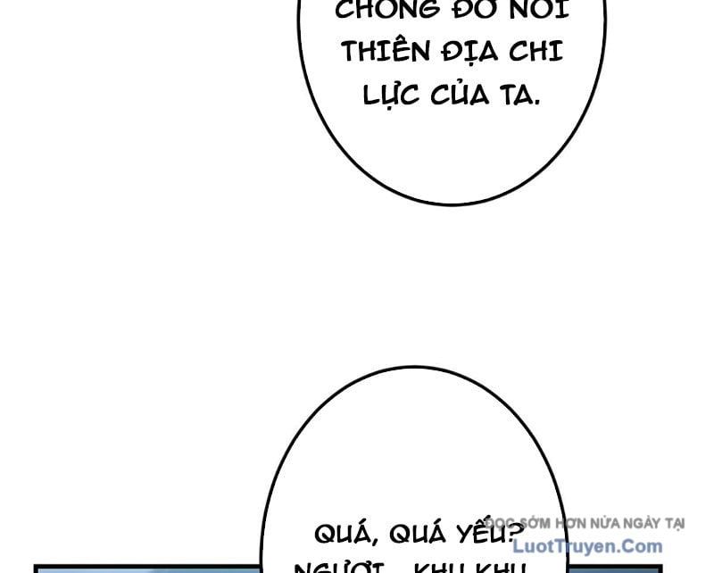 đọc truyện Chưởng Môn Khiêm Tốn Chút Chương 562 ảnh 79 tại Thiên Thai Truyện