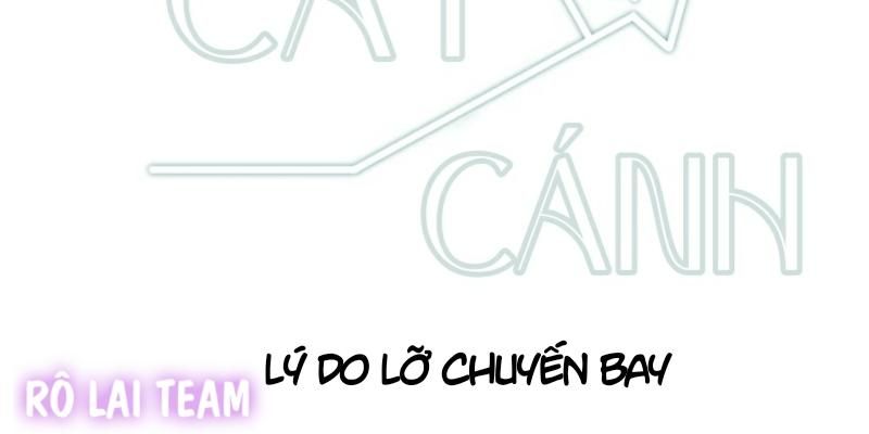 đọc truyện Chuyến Bay Định Mệnh Chương 18 ảnh 2 tại Thiên Thai Truyện