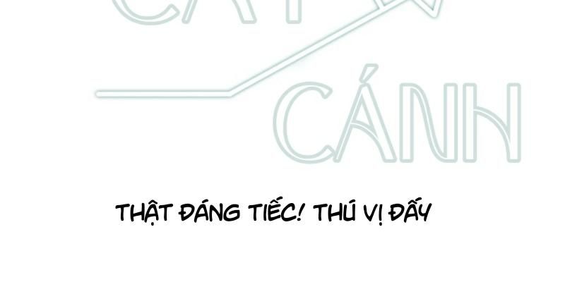 đọc truyện Chuyến Bay Định Mệnh Chương 19 ảnh 2 tại Thiên Thai Truyện