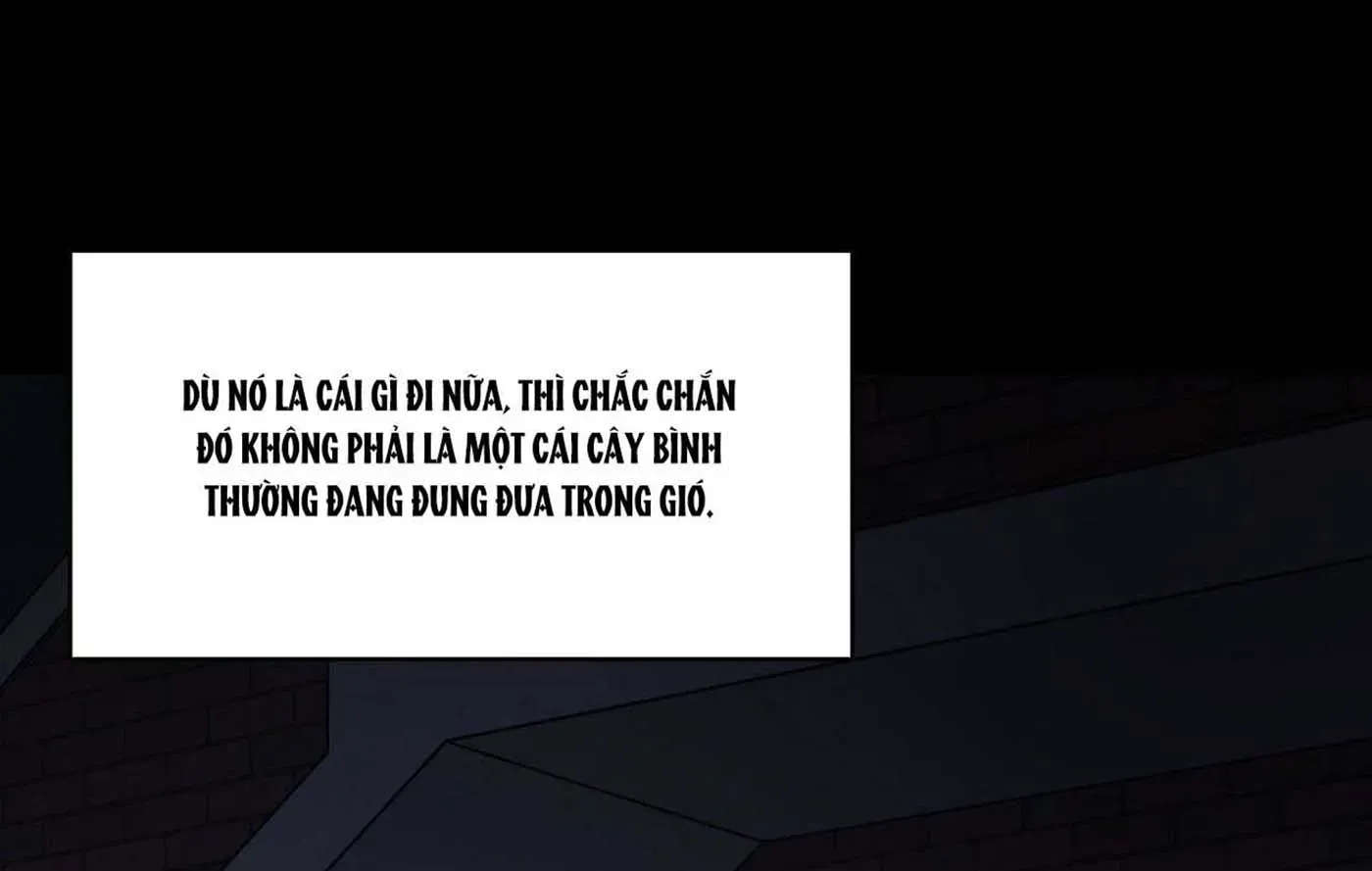 đọc truyện Chuyện Quái Gì Với Giấc Mơ Đó Vậy? Chương 23 ảnh 2 tại Truyện Dạ Ký