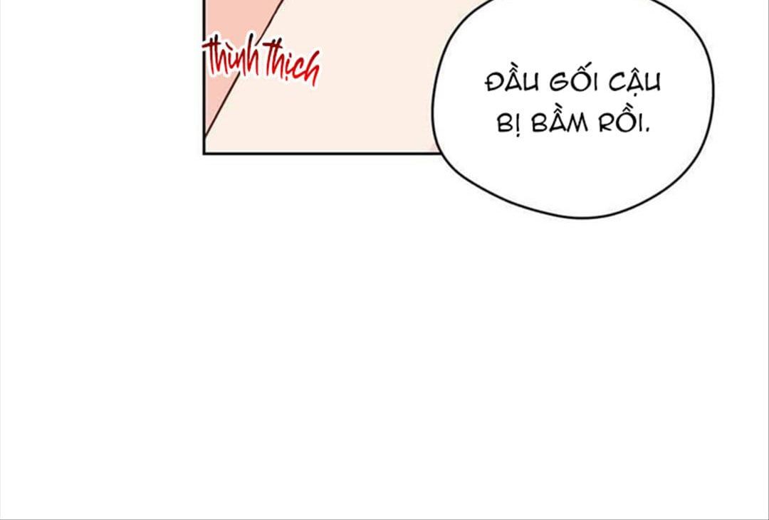 đọc truyện Chuyện Quái Gì Với Giấc Mơ Đó Vậy? Chương 29 ảnh 75 tại Truyện Dạ Ký