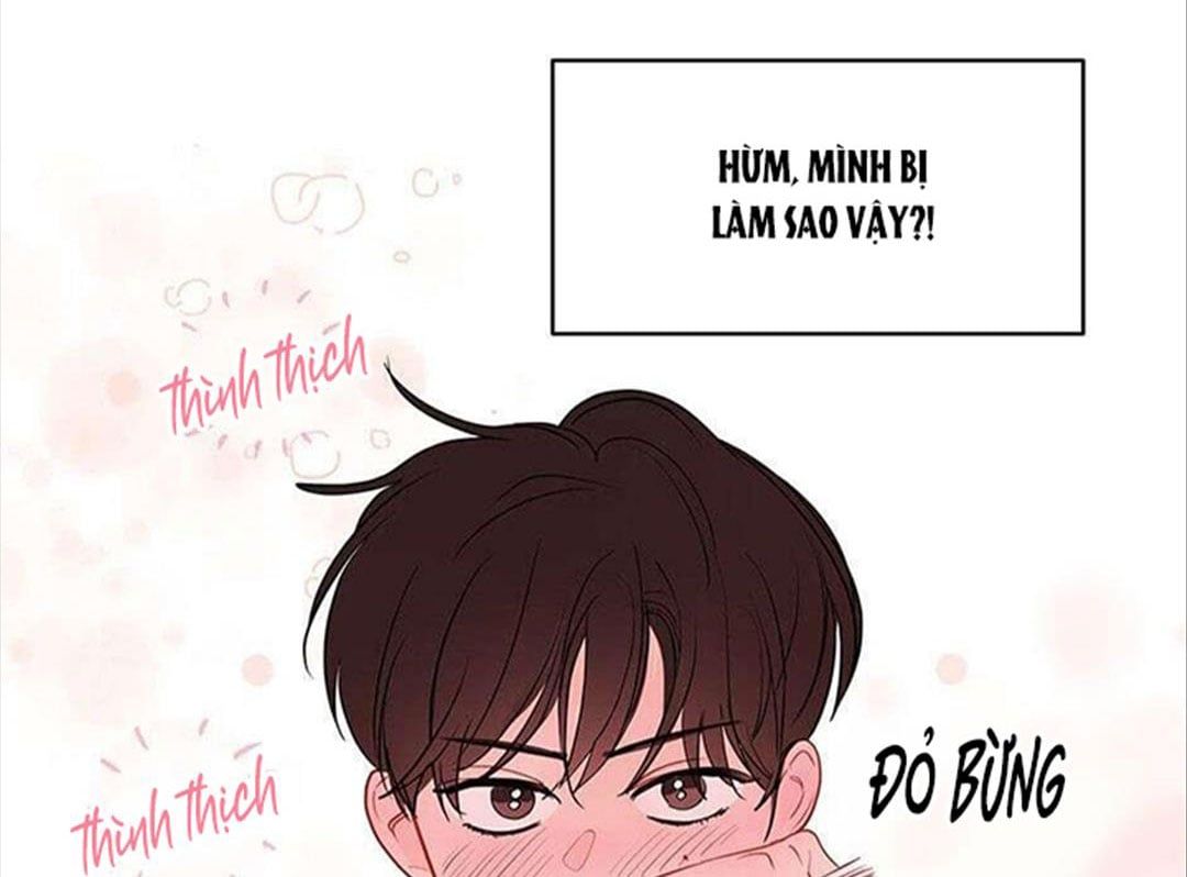 đọc truyện Chuyện Quái Gì Với Giấc Mơ Đó Vậy? Chương 30 ảnh 5 tại Truyện Dạ Ký