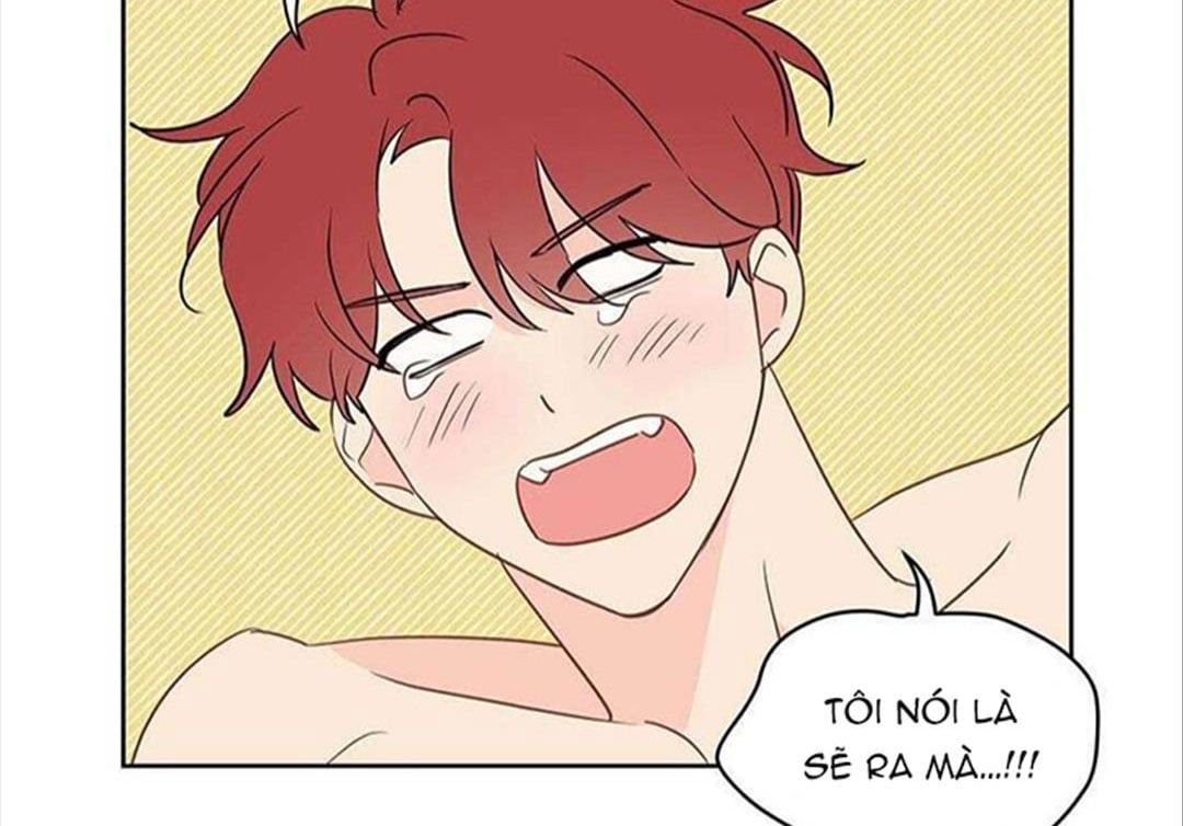 đọc truyện Chuyện Quái Gì Với Giấc Mơ Đó Vậy? Chương 30 ảnh 47 tại Truyện Dạ Ký
