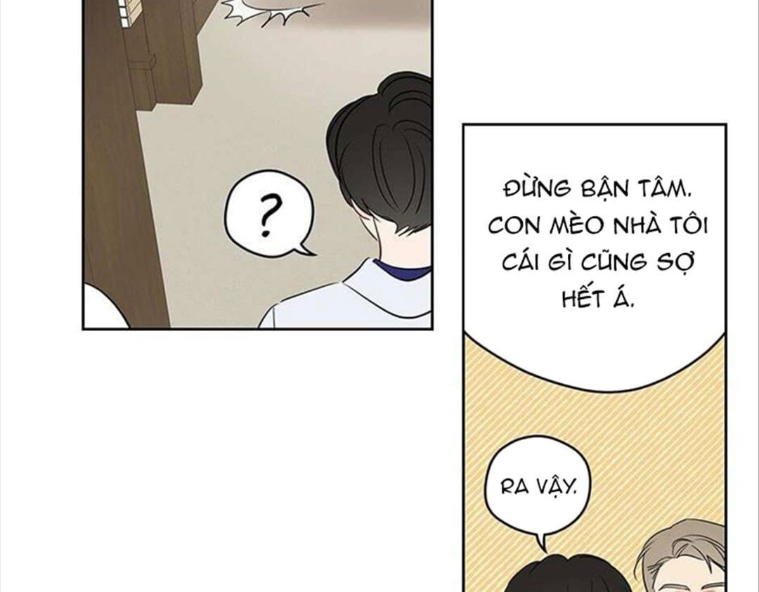 đọc truyện Chuyện Quái Gì Với Giấc Mơ Đó Vậy? Chương 33 ảnh 29 tại Truyện Dạ Ký