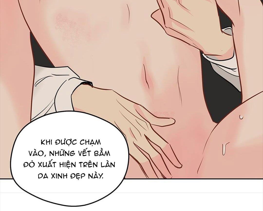 đọc truyện Chuyện Quái Gì Với Giấc Mơ Đó Vậy? Chương 39 ảnh 39 tại Truyện Dạ Ký