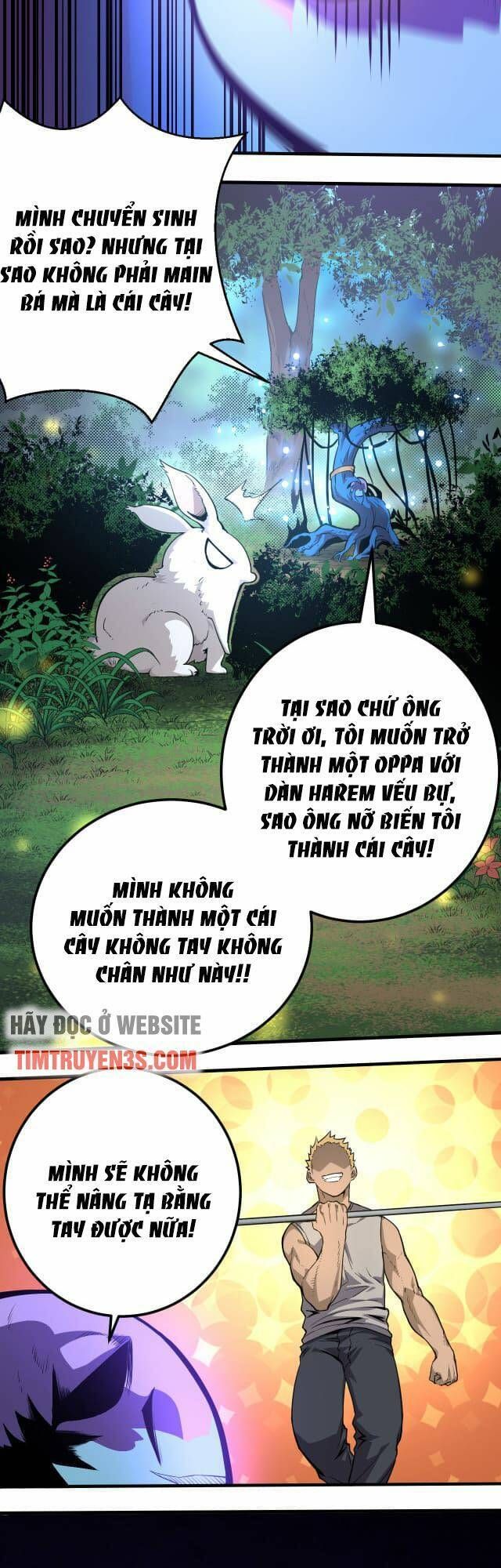 đọc truyện Chuyển Sinh Thành Liễu Đột Biến Chương 1 ảnh 12 tại Truyện Dạ Ký