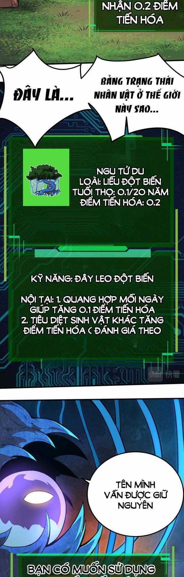 đọc truyện Chuyển Sinh Thành Liễu Đột Biến Chương 1 ảnh 23 tại Truyện Dạ Ký