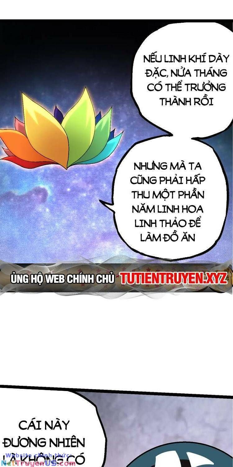đọc truyện Chuyển Sinh Thành Liễu Đột Biến Chương 111 ảnh 12 tại Truyện Dạ Ký