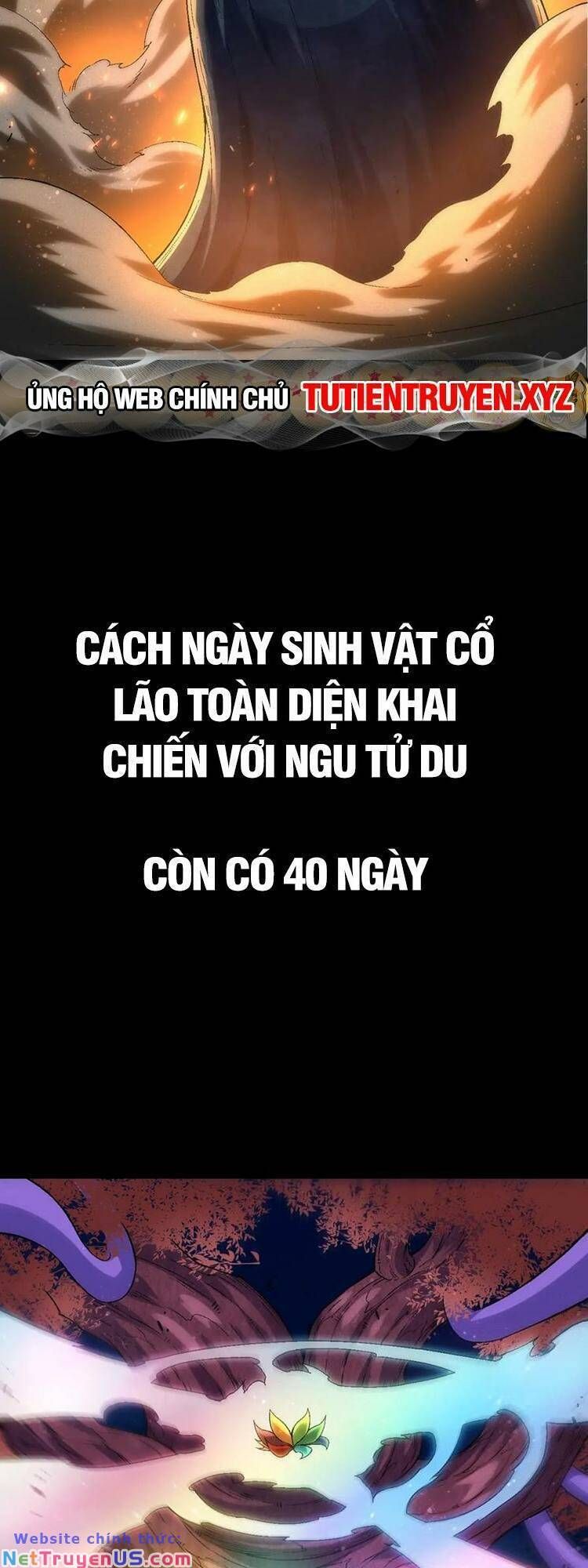 đọc truyện Chuyển Sinh Thành Liễu Đột Biến Chương 111 ảnh 46 tại Truyện Dạ Ký