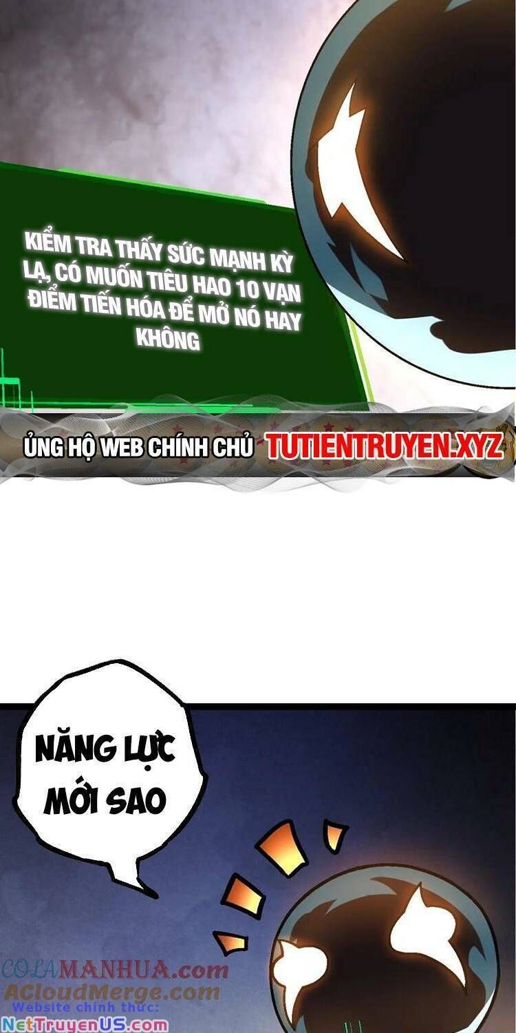 đọc truyện Chuyển Sinh Thành Liễu Đột Biến Chương 111 ảnh 48 tại Truyện Dạ Ký