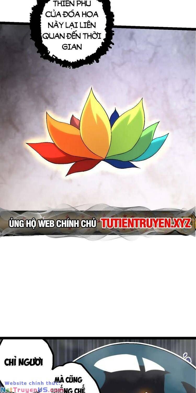 đọc truyện Chuyển Sinh Thành Liễu Đột Biến Chương 111 ảnh 8 tại Truyện Dạ Ký