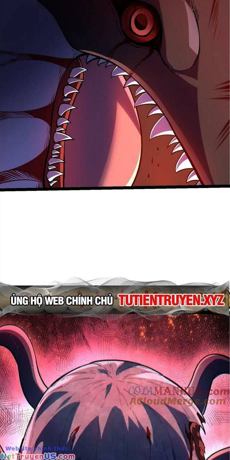 đọc truyện Chuyển Sinh Thành Liễu Đột Biến Chương 114 ảnh 59 tại Thiên Thai Truyện