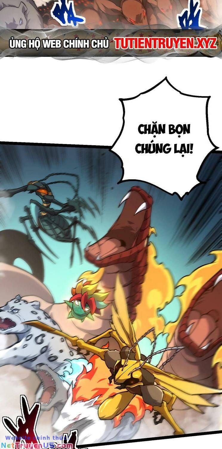 đọc truyện Chuyển Sinh Thành Liễu Đột Biến Chương 143 ảnh 4 tại Truyện Dạ Ký
