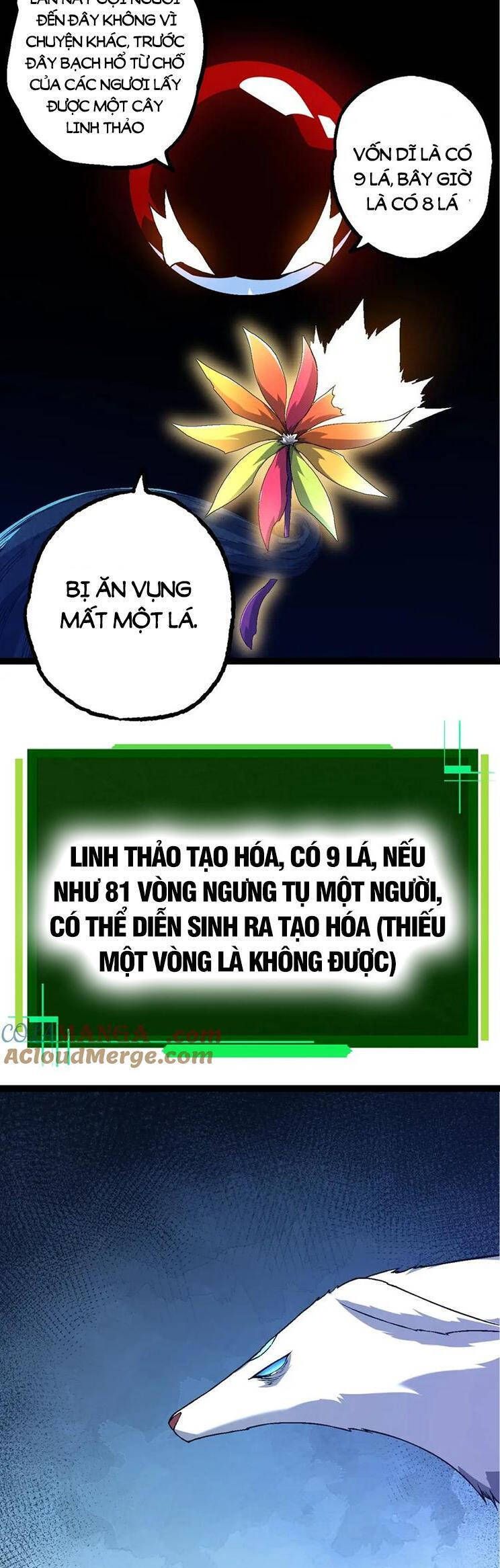 đọc truyện Chuyển Sinh Thành Liễu Đột Biến Chương 167 ảnh 35 tại Truyện Dạ Ký