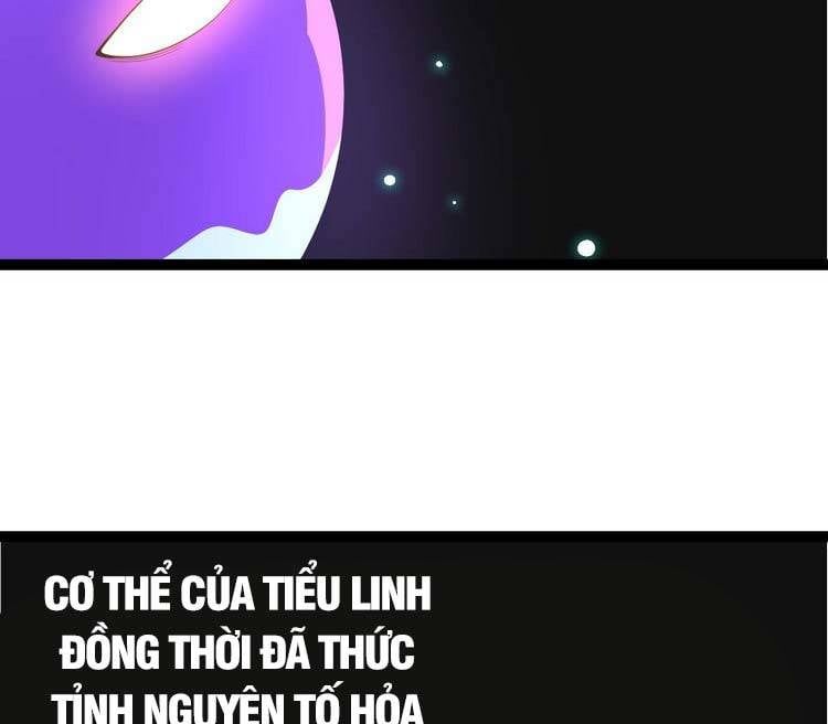 đọc truyện Chuyển Sinh Thành Liễu Đột Biến Chương 20 ảnh 33 tại Truyện Dạ Ký