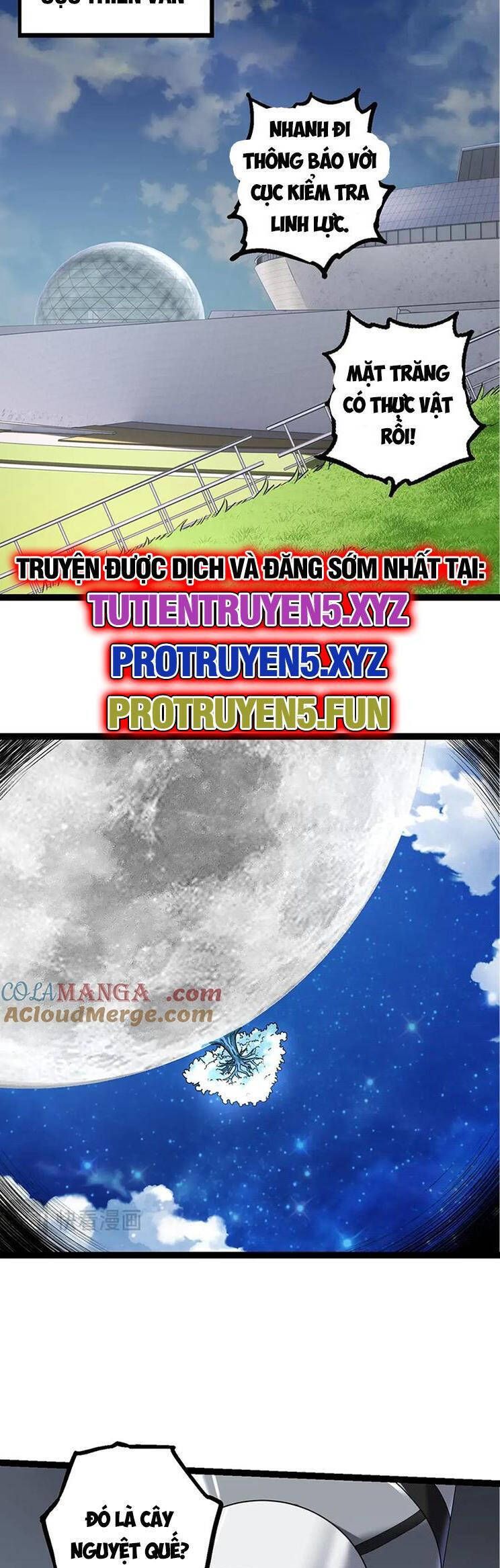 đọc truyện Chuyển Sinh Thành Liễu Đột Biến Chương 203 ảnh 17 tại Truyện Dạ Ký
