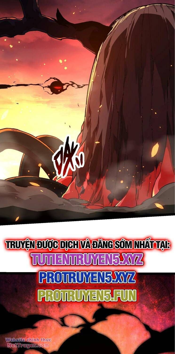 đọc truyện Chuyển Sinh Thành Liễu Đột Biến Chương 206 ảnh 4 tại Thiên Thai Truyện