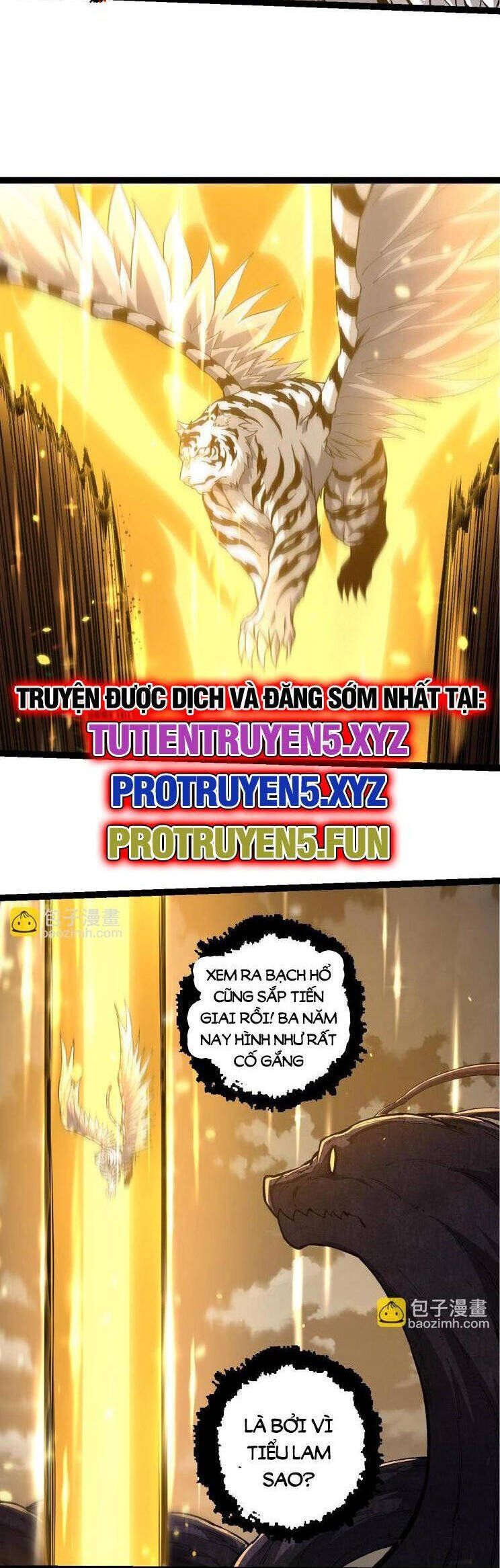 đọc truyện Chuyển Sinh Thành Liễu Đột Biến Chương 210 ảnh 15 tại Truyện Dạ Ký