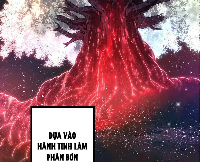 đọc truyện Chuyển Sinh Thành Liễu Đột Biến Chương 256 ảnh 4 tại Truyện Dạ Ký
