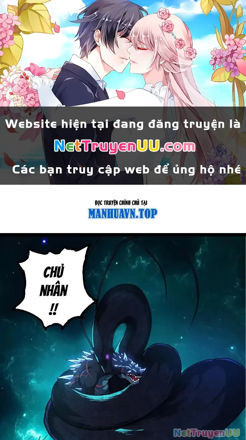 đọc truyện Chuyển Sinh Thành Liễu Đột Biến Chương 266 ảnh 2 tại Thiên Thai Truyện