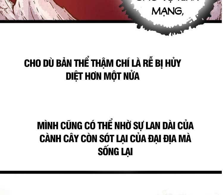 đọc truyện Chuyển Sinh Thành Liễu Đột Biến Chương 28 ảnh 18 tại Truyện Dạ Ký