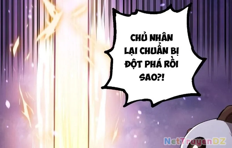 đọc truyện Chuyển Sinh Thành Liễu Đột Biến Chương 312 ảnh 102 tại Thiên Thai Truyện