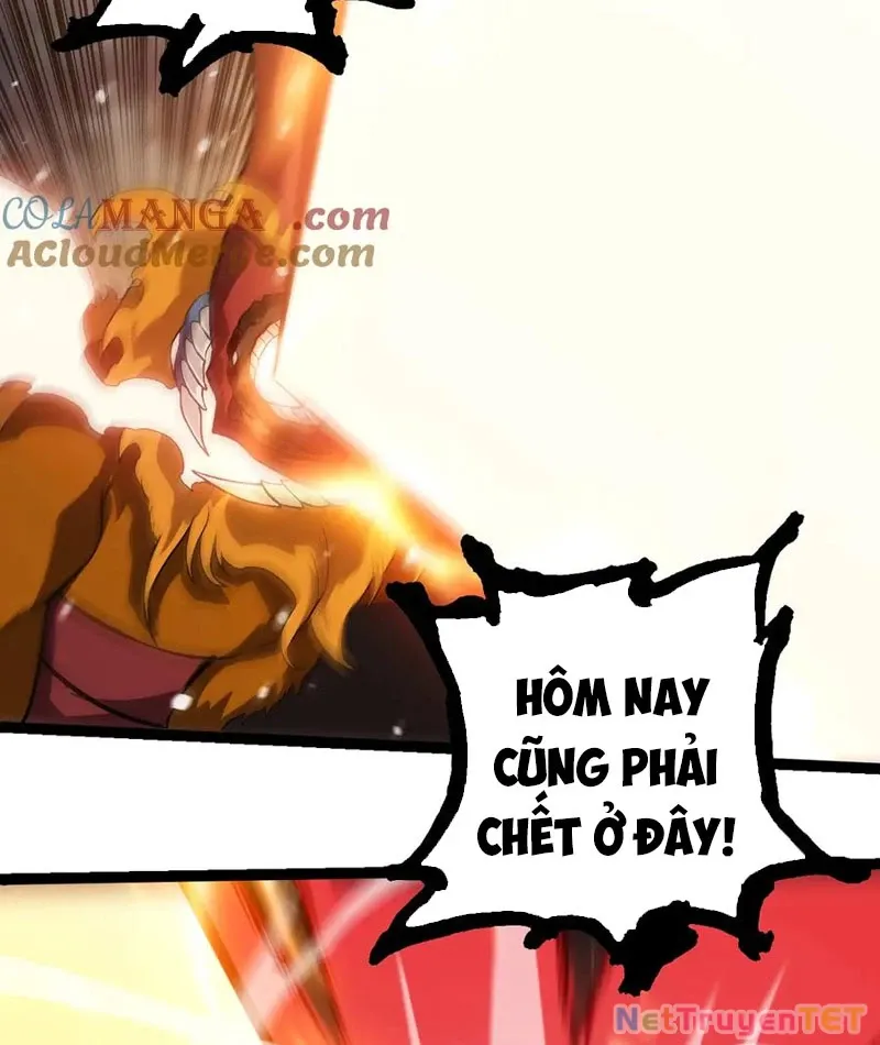 đọc truyện Chuyển Sinh Thành Liễu Đột Biến Chương 325 ảnh 69 tại Thiên Thai Truyện