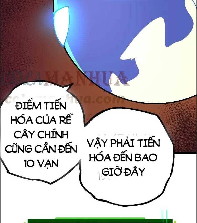 đọc truyện Chuyển Sinh Thành Liễu Đột Biến Chương 39 ảnh 42 tại Truyện Dạ Ký