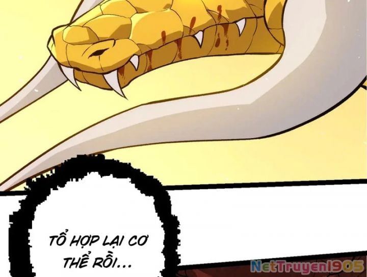 đọc truyện Chuyển Sinh Thành Liễu Đột Biến Chương 395 ảnh 7 tại Truyện Dạ Ký