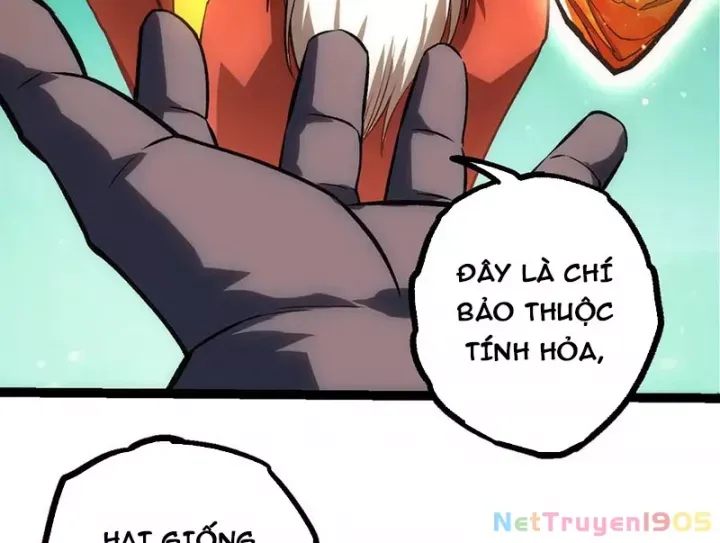 đọc truyện Chuyển Sinh Thành Liễu Đột Biến Chương 404 ảnh 11 tại Thiên Thai Truyện