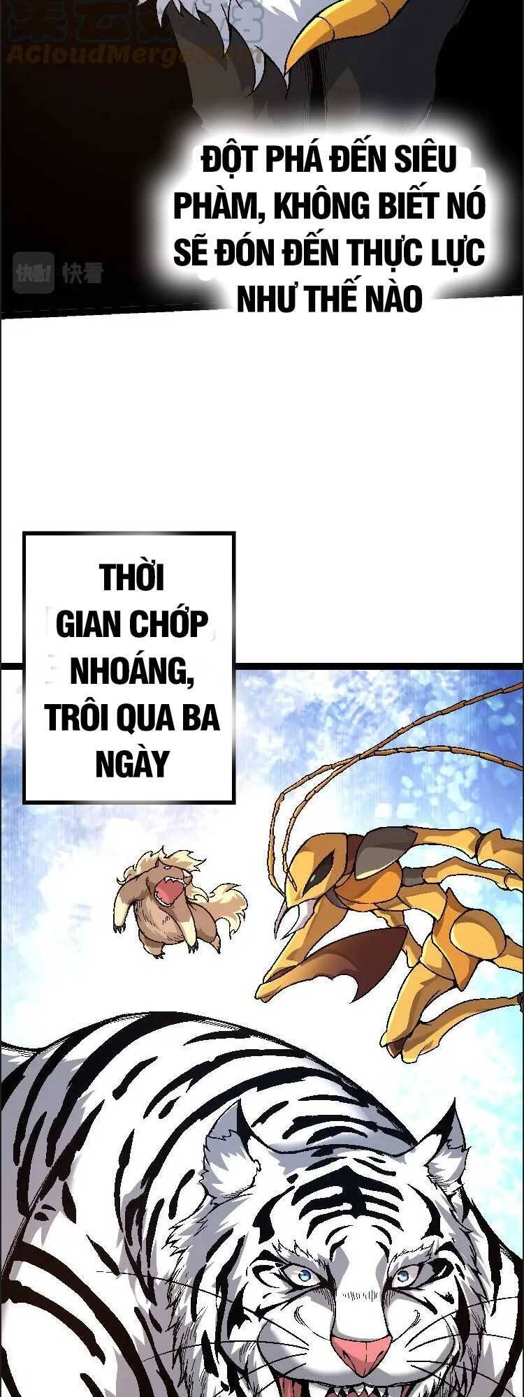 đọc truyện Chuyển Sinh Thành Liễu Đột Biến Chương 42 ảnh 40 tại Truyện Dạ Ký