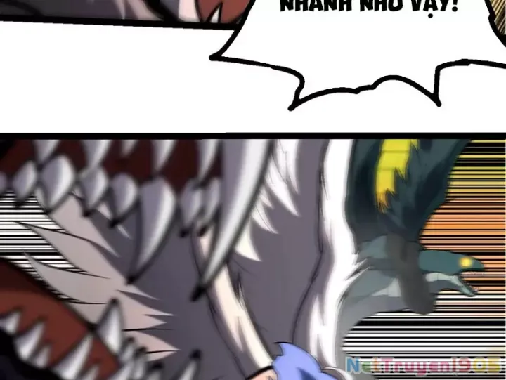 đọc truyện Chuyển Sinh Thành Liễu Đột Biến Chương 431 ảnh 12 tại Thiên Thai Truyện