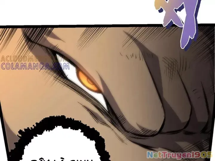 đọc truyện Chuyển Sinh Thành Liễu Đột Biến Chương 431 ảnh 21 tại Thiên Thai Truyện