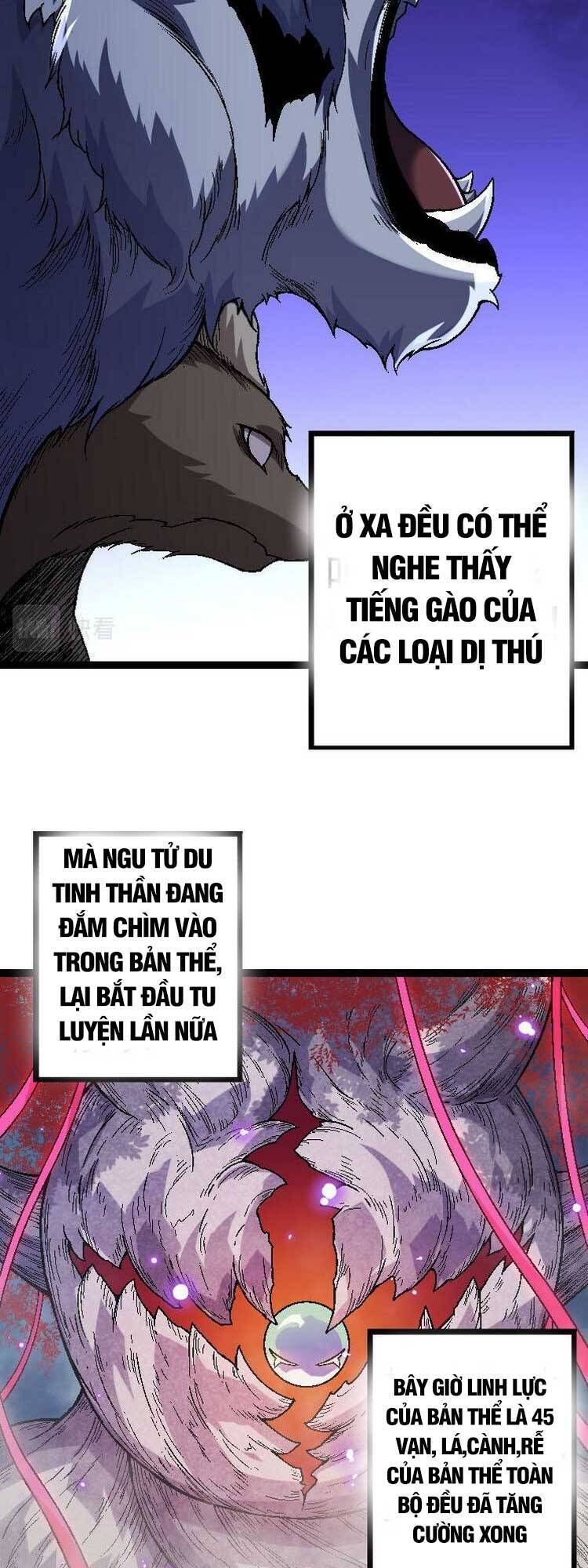 đọc truyện Chuyển Sinh Thành Liễu Đột Biến Chương 45 ảnh 17 tại Truyện Dạ Ký