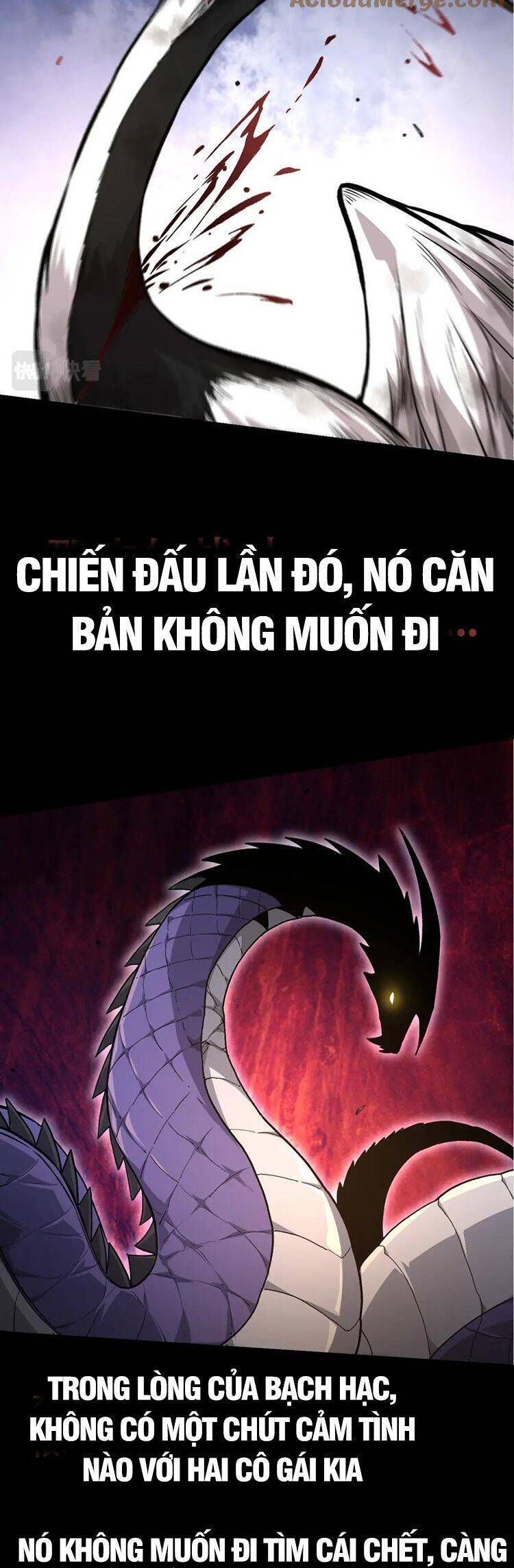 đọc truyện Chuyển Sinh Thành Liễu Đột Biến Chương 54 ảnh 26 tại Truyện Dạ Ký