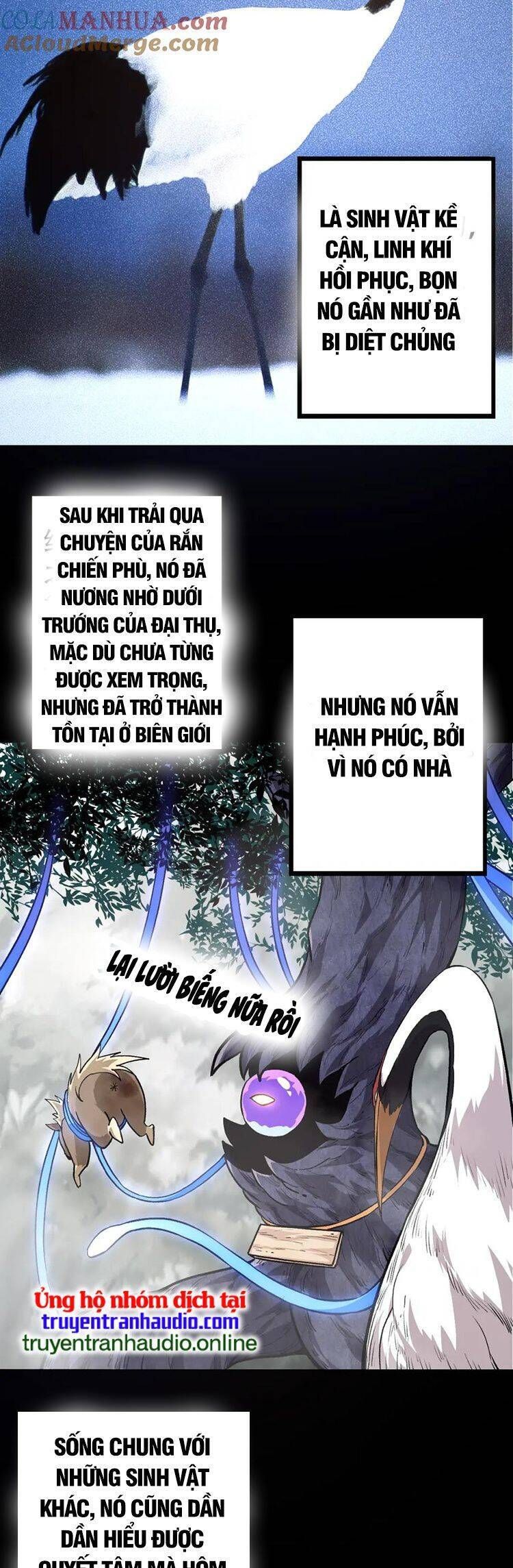 đọc truyện Chuyển Sinh Thành Liễu Đột Biến Chương 54 ảnh 28 tại Truyện Dạ Ký