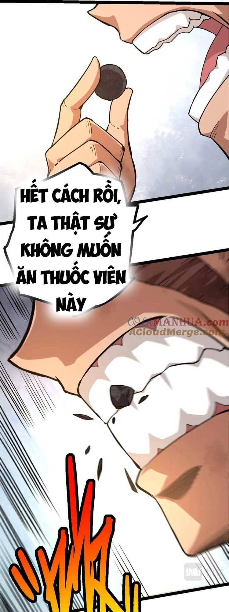 đọc truyện Chuyển Sinh Thành Liễu Đột Biến Chương 63 ảnh 15 tại Thiên Thai Truyện
