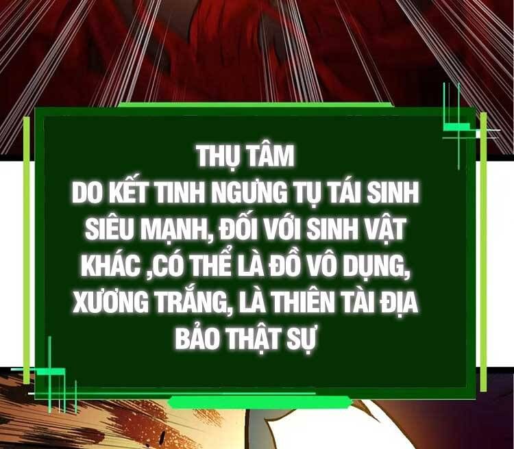 đọc truyện Chuyển Sinh Thành Liễu Đột Biến Chương 70 ảnh 18 tại Thiên Thai Truyện