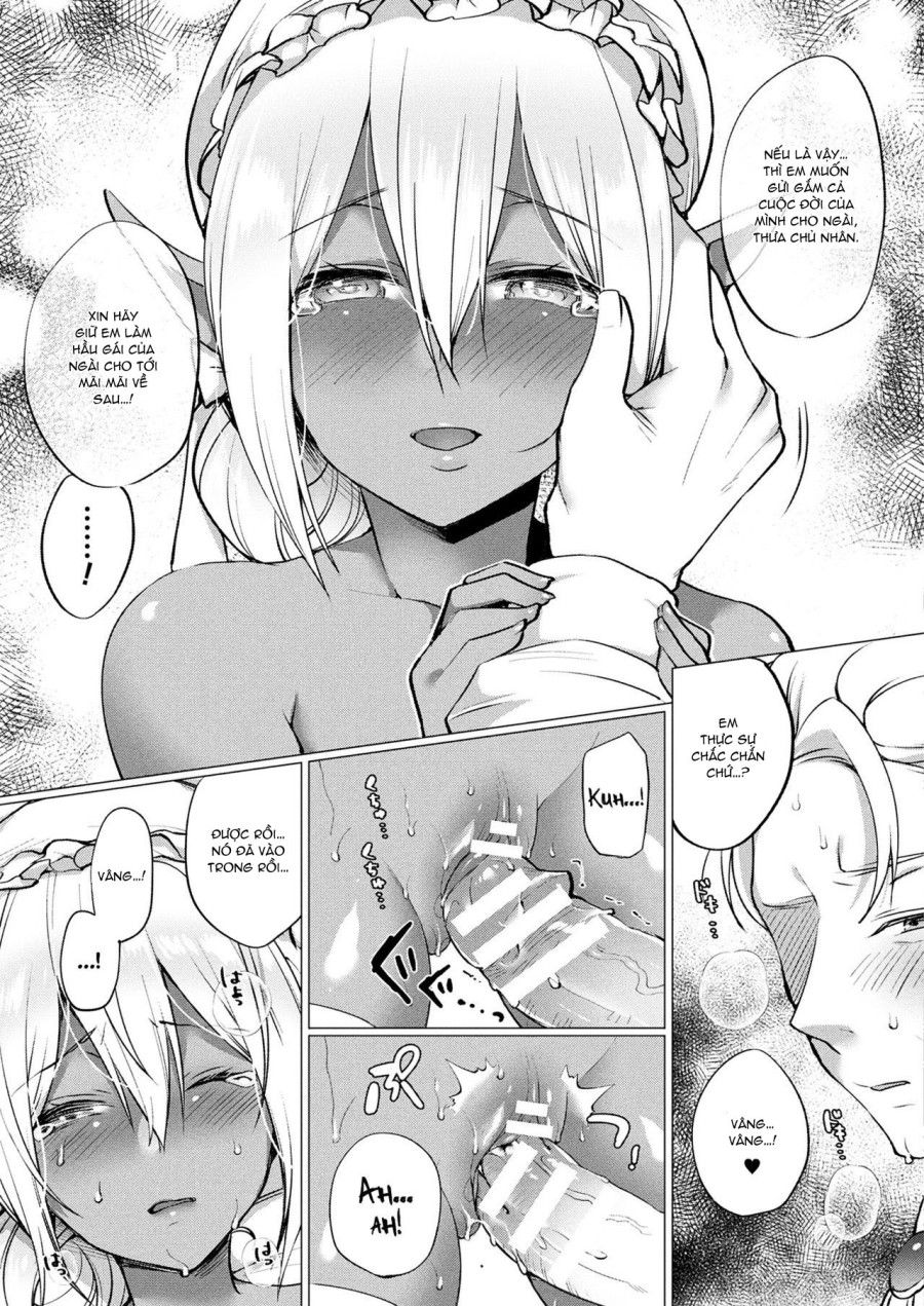 Chuyện Tình Của Nàng Dark Elf Oneshot page 14 - Giả Dược