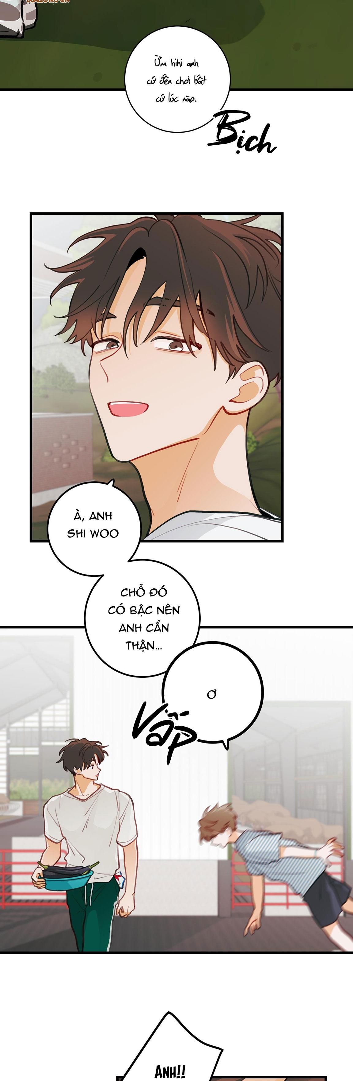 đọc truyện Chuyện Tình Hoa Lê Nở Chương 14 ảnh 32 tại Giả Dược