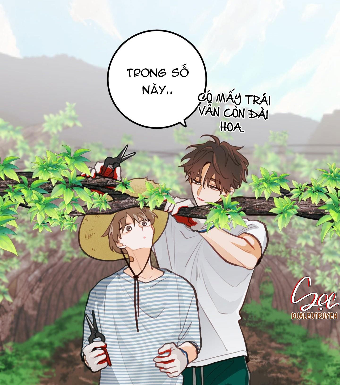 đọc truyện Chuyện Tình Hoa Lê Nở Chương 16 ảnh 23 tại Giả Dược