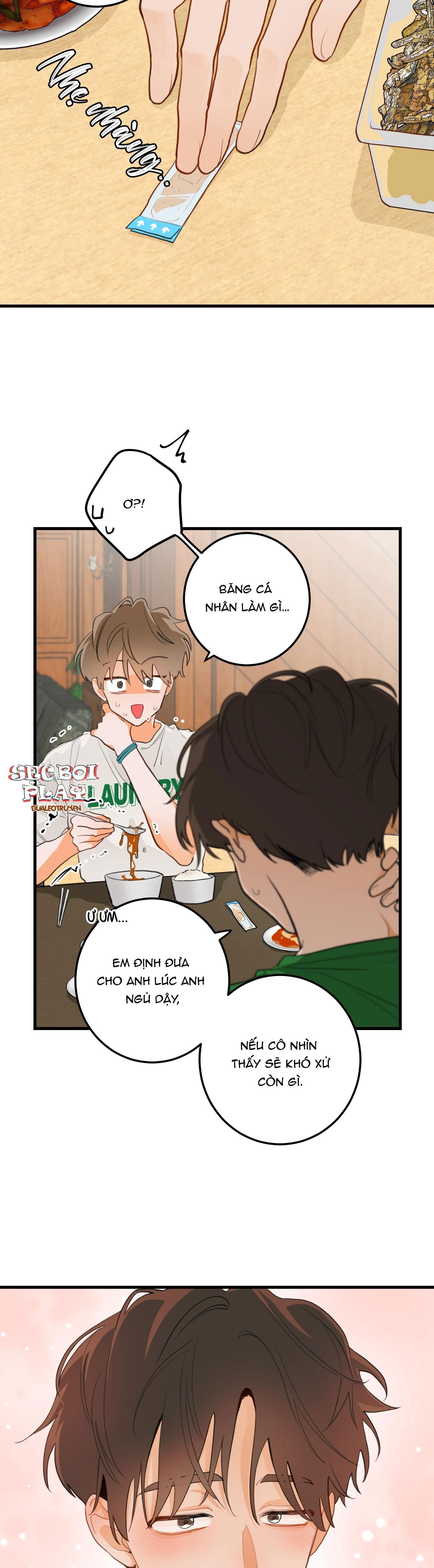 đọc truyện Chuyện Tình Hoa Lê Nở Chương 3 ảnh 23 tại Giả Dược