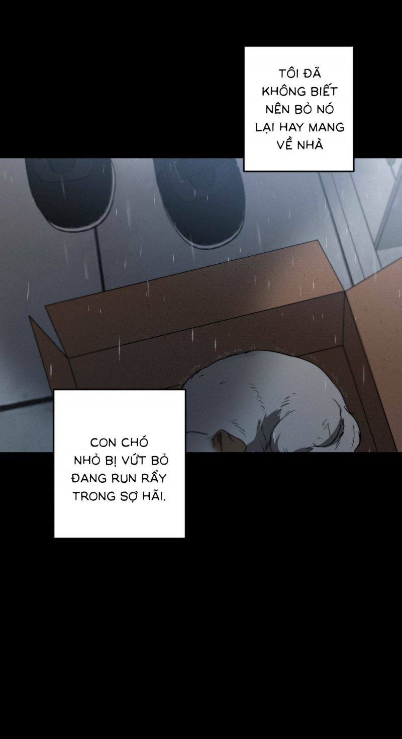 đọc truyện Chuyện Tình Không Lường Trước Chương 33 ảnh 4 tại Thiên Thai Truyện