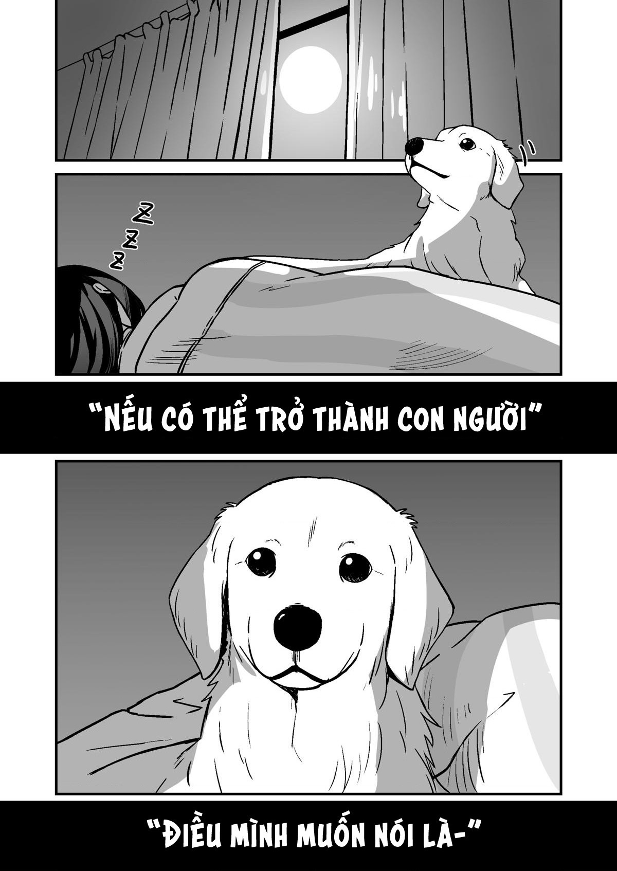 đọc truyện Chuyện Về Cô Cún Cưng Hóa Thành Người Chương 1 ảnh 3 tại Thiên Thai Truyện