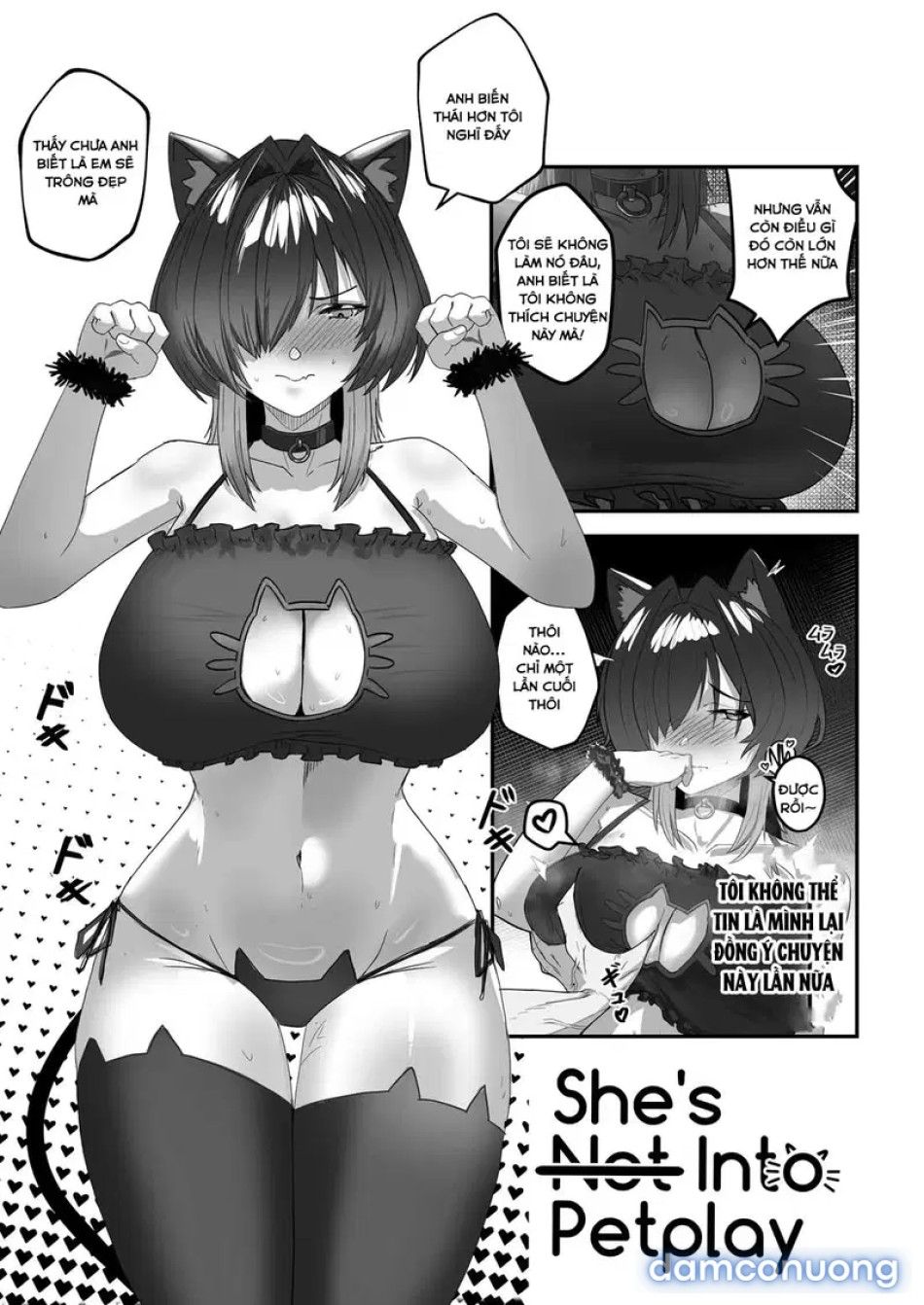 đọc truyện Cô Ấy (không) Thích Chơi Trò Thú Cưng Chương 1 ảnh 5 tại Thiên Thai Truyện