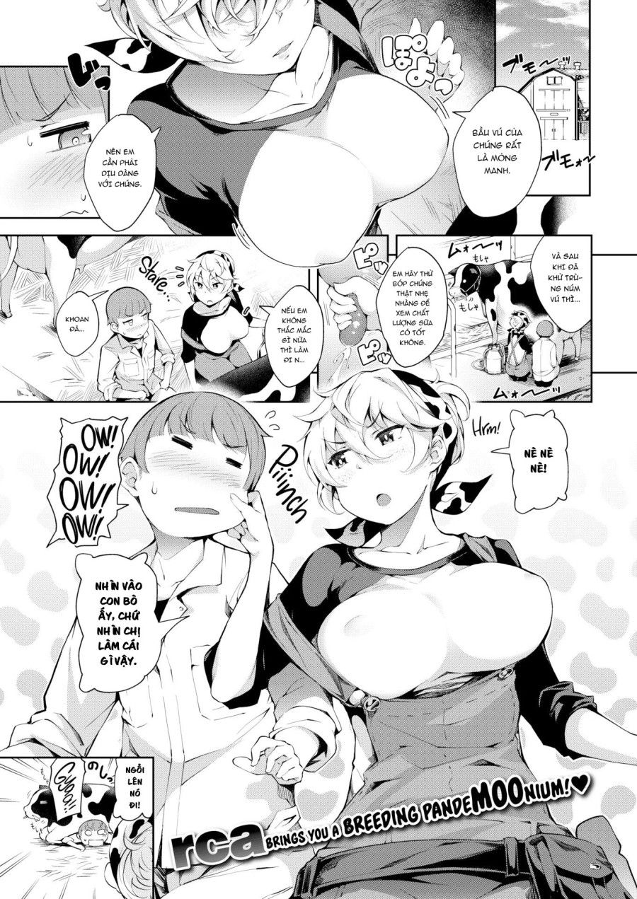 Cô Bò Hứng Tình Oneshot page 6 - Giả Dược