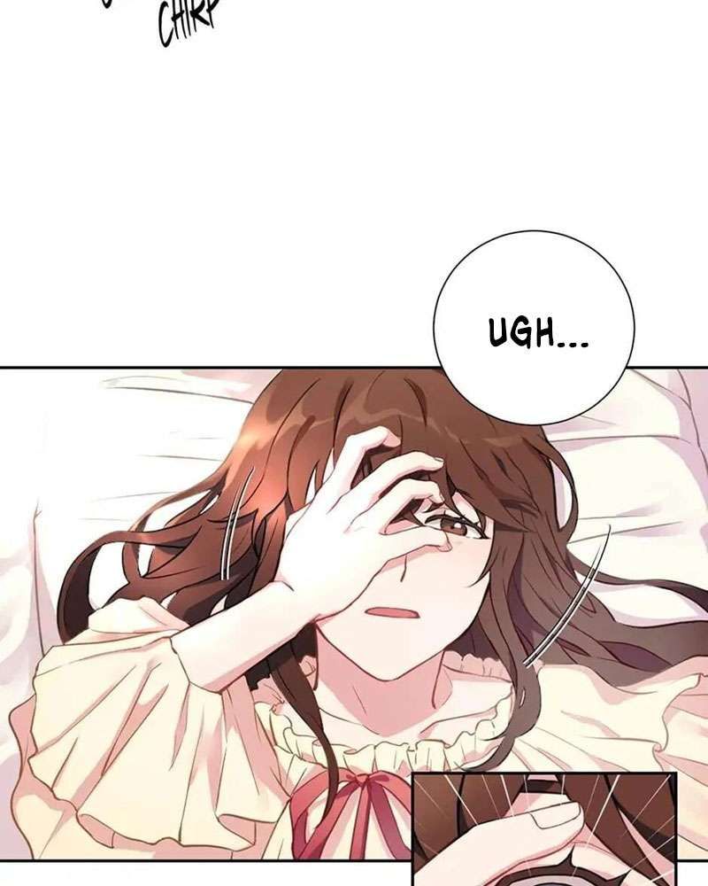 đọc truyện Cô Chủ Và Người Hầu Chương 1 ảnh 6 tại Thiên Thai Truyện